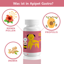 Load the image into the gallery viewer, Apipet Gastro Subscription
